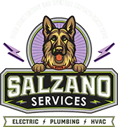 Salzano Services logo